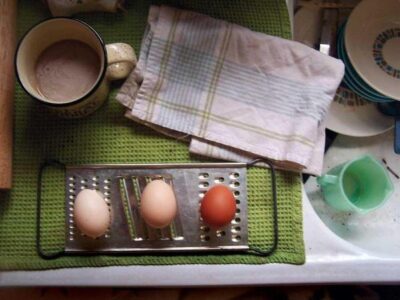 Life on the Homestead: On Becoming Self-Sufficient Image